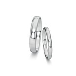 Eheringe Classic/Eternal in Palladium