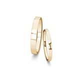 Eheringe Desire in 14K Gelbgold