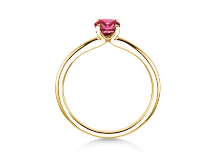Geburtsstein-Ring Classic 4 Januar in 14K Gelbgold mit Granat 0,50ct