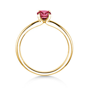 Geburtsstein-Ring Classic 4 Januar in 14K Gelbgold mit Granat 0,50ct