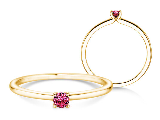 Geburtsstein-Ring Classic 4 Januar in 14K Gelbgold mit Granat 0,10ct