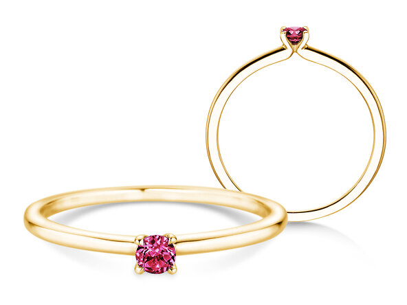 Geburtsstein-Ring Classic 4 Januar in 14K Gelbgold mit Granat 0,10ct