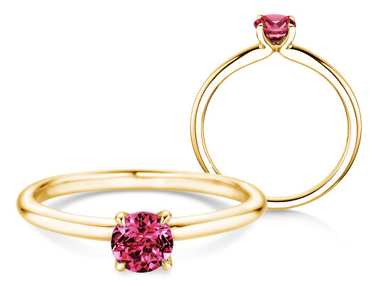 Geburtsstein-Ring Classic 4 Januar in 14K Gelbgold mit Granat 0,50ct