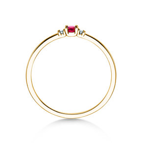 Geburtsstein-Ring Vivid Petite Januar in 14K Gelbgold mit Granat 0,11ct und Diamanten 0,02ct