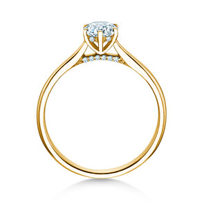 Verlobungsring Classic 6 Hidden Halo in 14K Gelbgold mit Diamanten 0,55ct G/SI