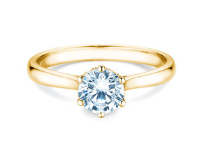 Verlobungsring Classic 6 Hidden Halo in Gelbgold