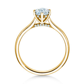 Verlobungsring Classic 6 Hidden Halo in Gelbgold