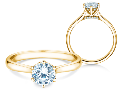 Verlobungsring Classic 6 Hidden Halo in Gelbgold