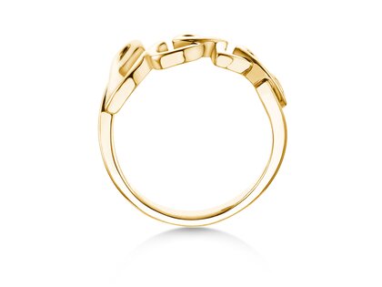 Ring Love Clean in 14K Gelbgold poliert