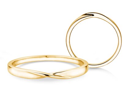 Verlobungsring Spin 2mm in 9K Gelbgold poliert