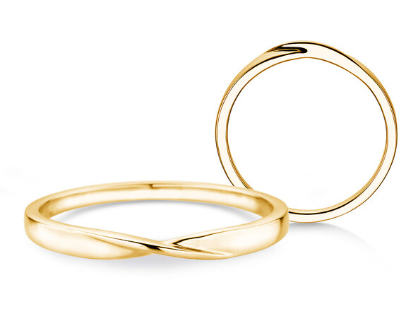 Verlobungsring Spin 2mm in 14K Gelbgold poliert